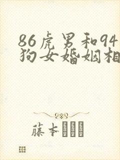 86虎男和94狗女婚姻相配吗