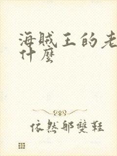 海贼王的老婆叫什么封面