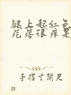 腿上起红色的小疙瘩很痒是因为什么封面