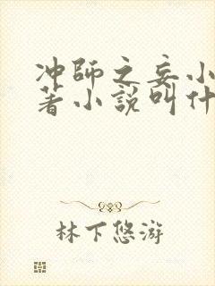 冲师之妄小说原著小说叫什么名字