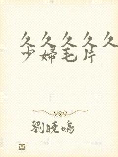 久久久久久久黄少妇毛片