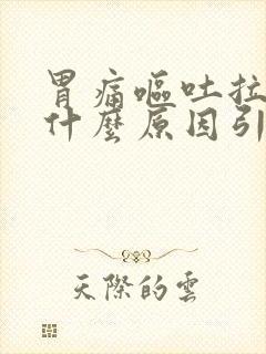 胃痛呕吐拉肚子什么原因引起的