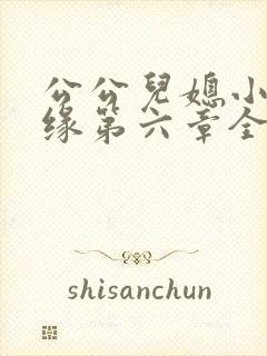 公公儿媳小说孽缘第六章全文阅读免费