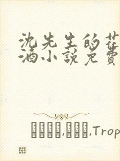 沈先生的花式调酒小说免费阅读