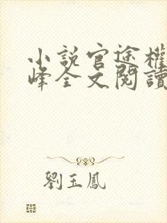 小说官途权力巅峰全文阅读