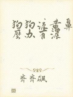 狗狗流黄鼻涕怎么办有浓封面