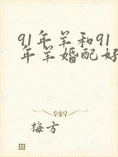 91年羊和91年羊婚配好不好封面