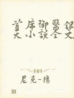 首席御医银河九天小说全文免费阅读下载封面