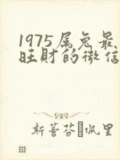 1975属兔最旺财的微信名