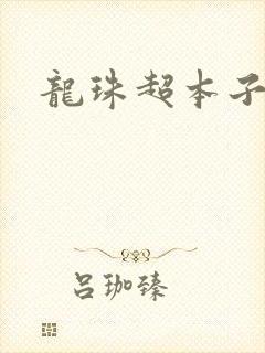 龙珠超本子