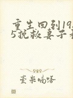 重生回到1985挽救妻子和女儿封面