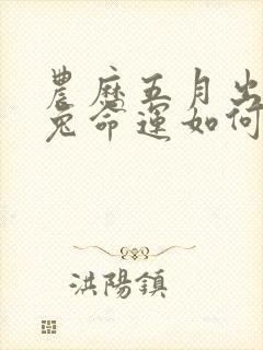 农历五月出生的兔命运如何封面