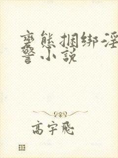 变态捆绑淫虐女警小说