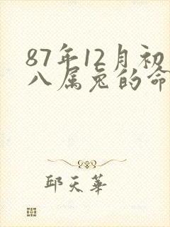 87年12月初八属兔的命运如何封面