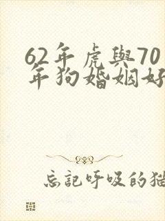 62年虎与70年狗婚姻好吗封面