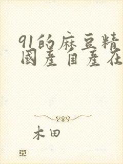 91的麻豆精品国产自产在线