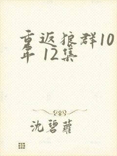 重返狼群10周年 12集