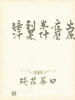 睡到半夜出一身汗是什么原因