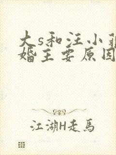 大s和汪小菲离婚主要原因