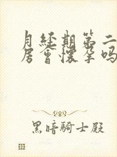 月经期第二天同房会怀孕吗