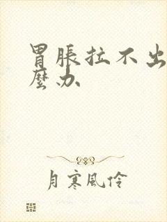 胃胀拉不出屎怎么办