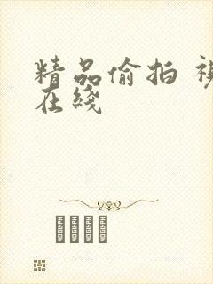 精品偷拍 视频在线