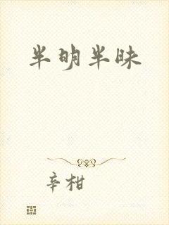 半明半昧