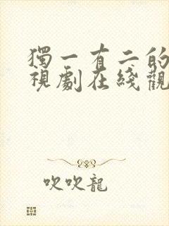 独一有二的她电视剧在线观看封面