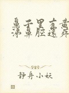 鼻子里有黄脓鼻涕鼻腔还疼封面