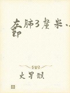 左肺3厘米小结节封面