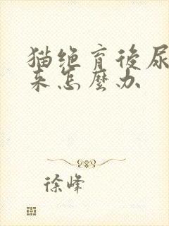 猫绝育后尿不出来怎么办封面