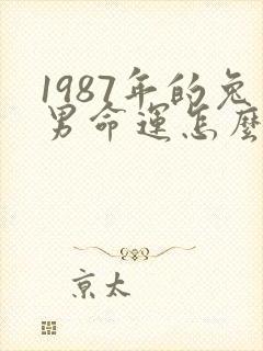 1987年的兔男命运怎么样