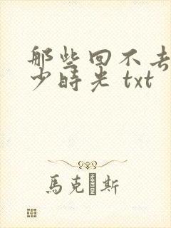 那些回不去的年少时光 txt封面