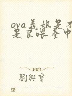 ova义姐是不是良喂养中