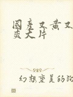 国产又黄又色又爽大片