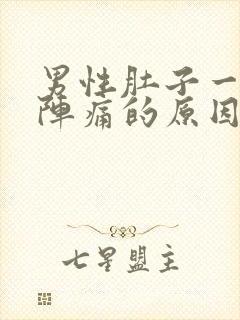 男性肚子一阵一阵痛的原因封面