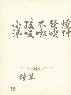 小孩不发烧流鼻涕咳嗽吃什么药封面