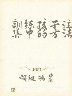 训练孩子注意力集中的方法