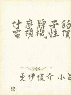 什么牌子的液晶电视机性价比高