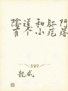 阴道和肛门中间有个小疙瘩