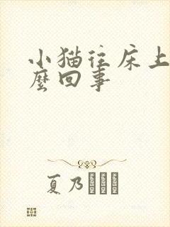 小猫往床上尿怎么回事