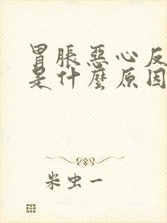 胃胀恶心反酸水是什么原因封面