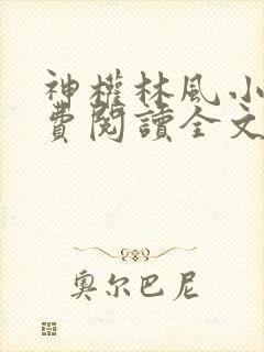 神权林风小说免费阅读全文最新章节