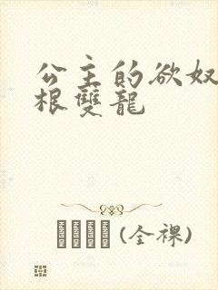 公主的欲奴h四根双龙