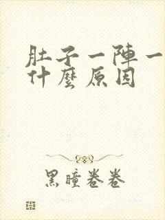 肚子一阵一阵痛什么原因