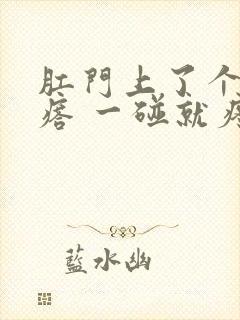 肛门上了个硬疙瘩 一碰就疼