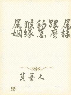 属猴的跟属鸡的姻缘怎么样封面