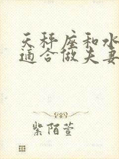 天秤座和水瓶座适合做夫妻吗