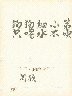 狗狗细小第六天只喝水不吃东西