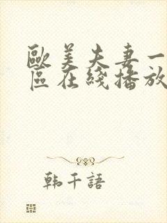 欧美夫妻一区二区在线播放